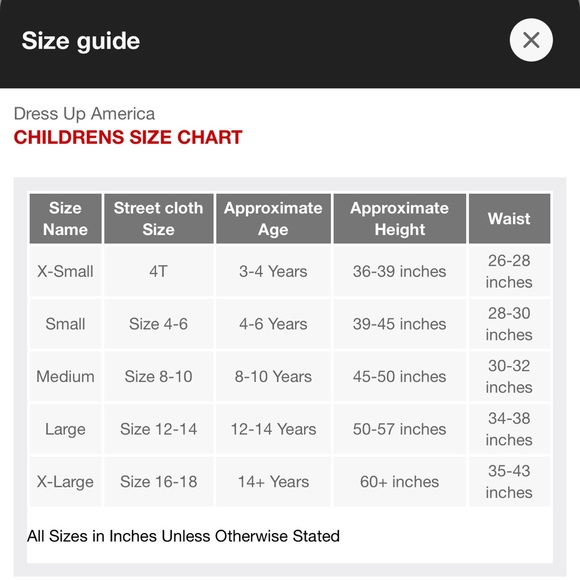 Tooth Fairy Costume iridescent Blue White Fairy Costume size small - Picture 8 of 8